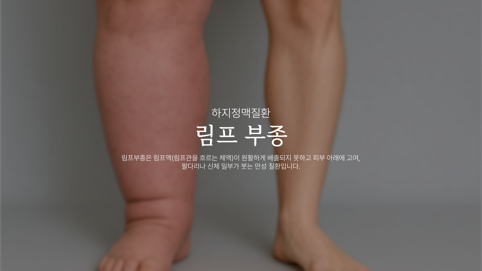 ���� ����