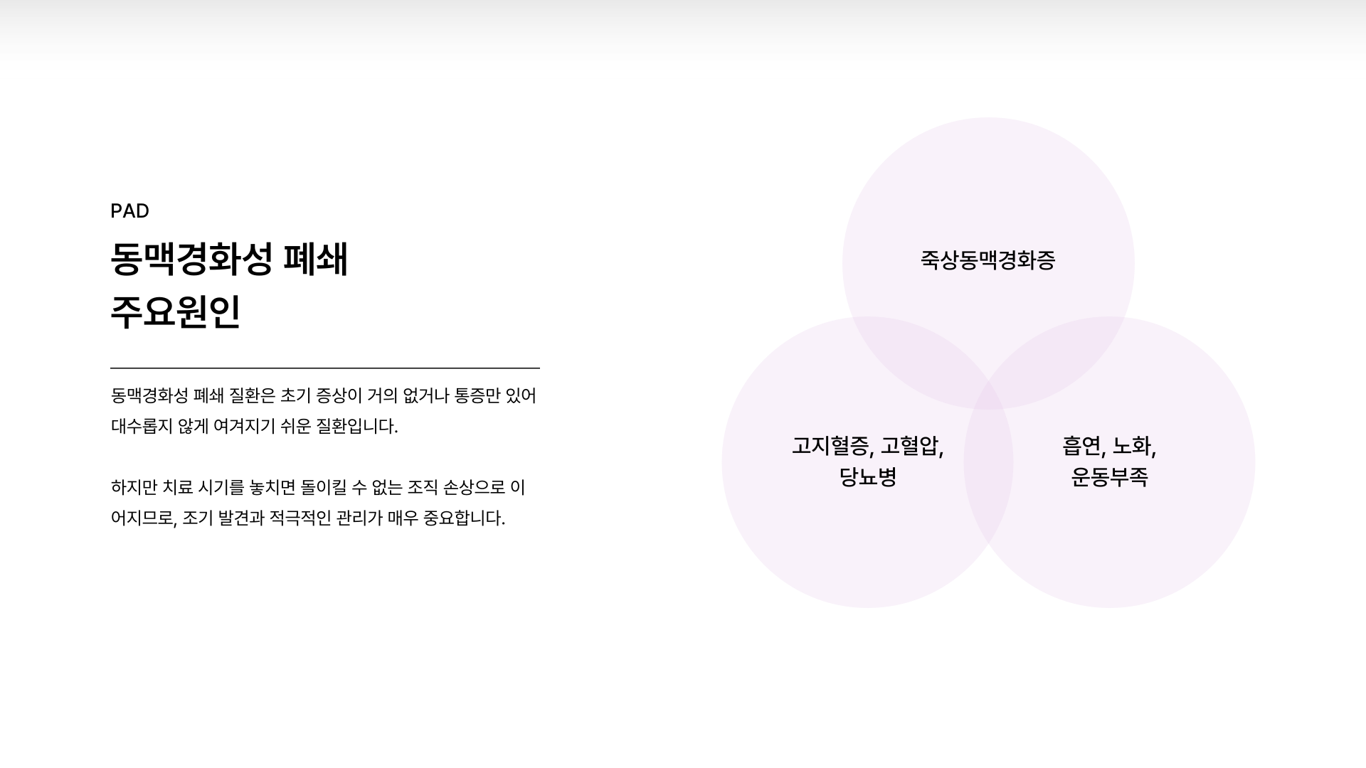 ���ư�ȭ�� �м�